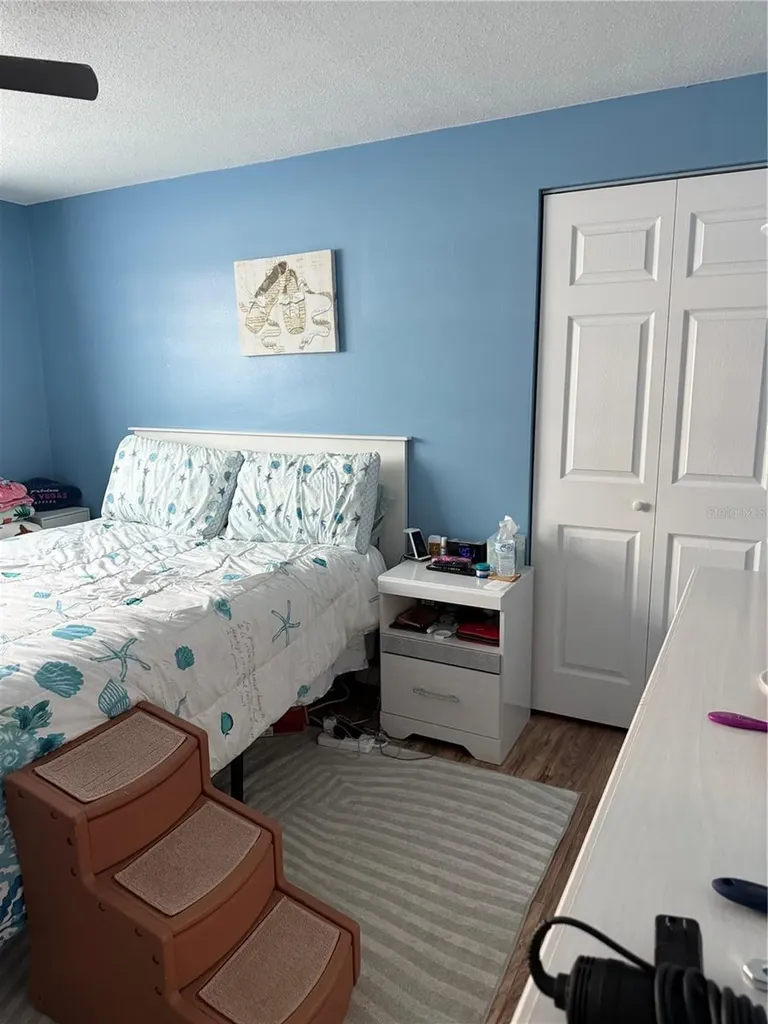 10335 Loquat Drive Port Richey FL 34668