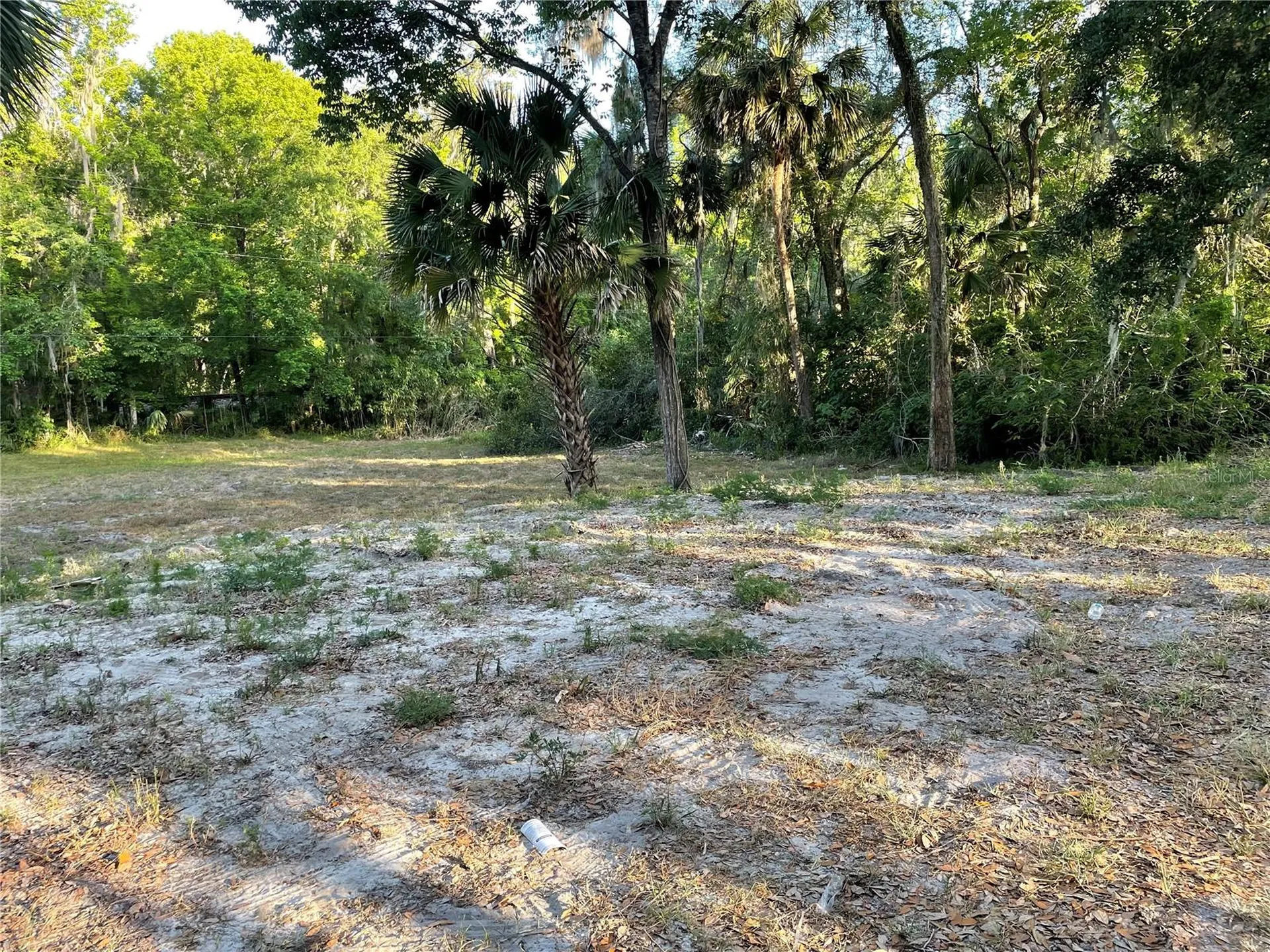 Park Avenue De Leon Springs FL 32130