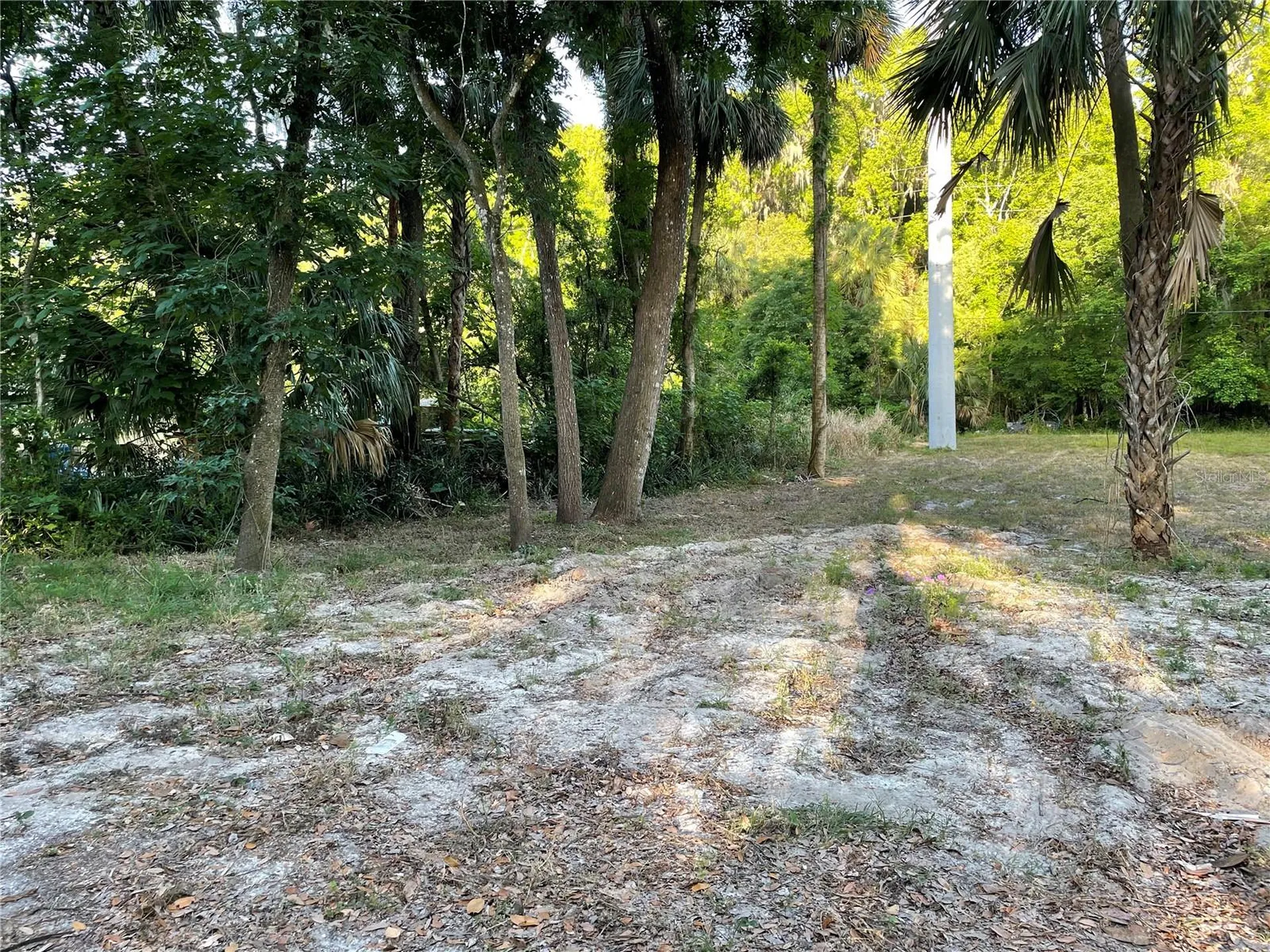 Park Avenue De Leon Springs FL 32130