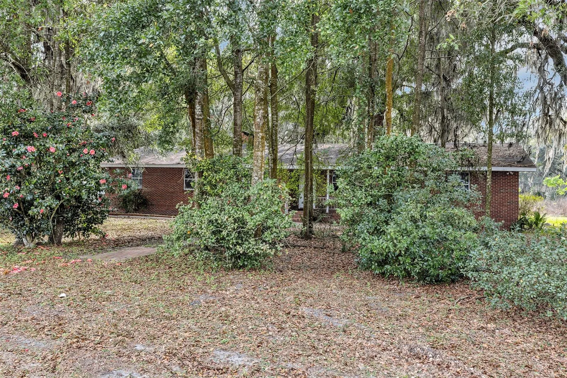 157 State Road 20 Palatka FL 32177
