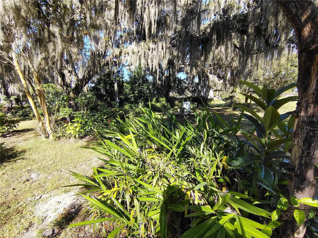 3537 E C 462 Wildwood FL 34785