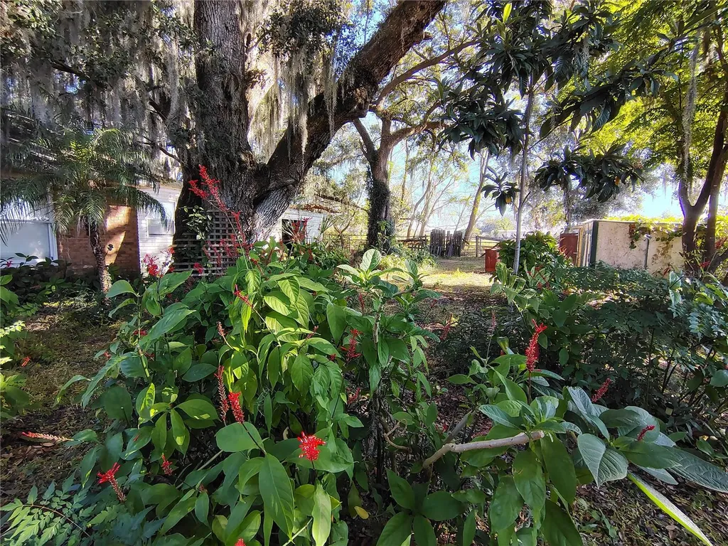 3537 E C 462 Wildwood FL 34785
