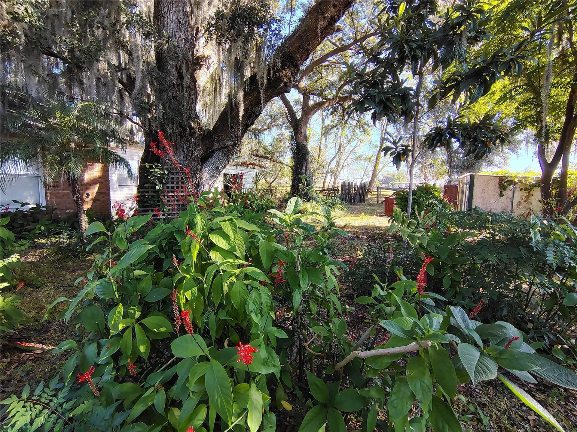 3537 E C 462 Wildwood FL 34785