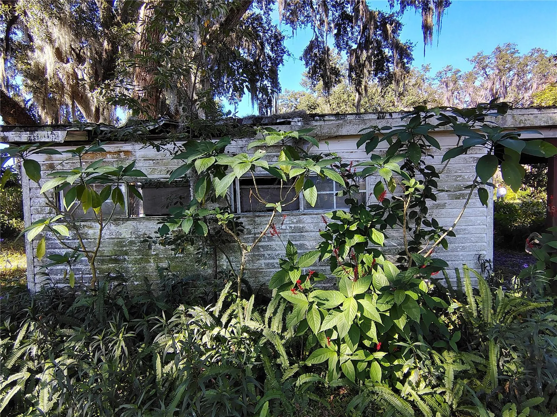 3537 E C 462 Wildwood FL 34785