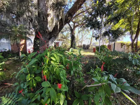 3537 E C 462 Wildwood FL 34785