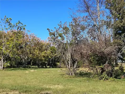 3537 E C 462 Wildwood FL 34785