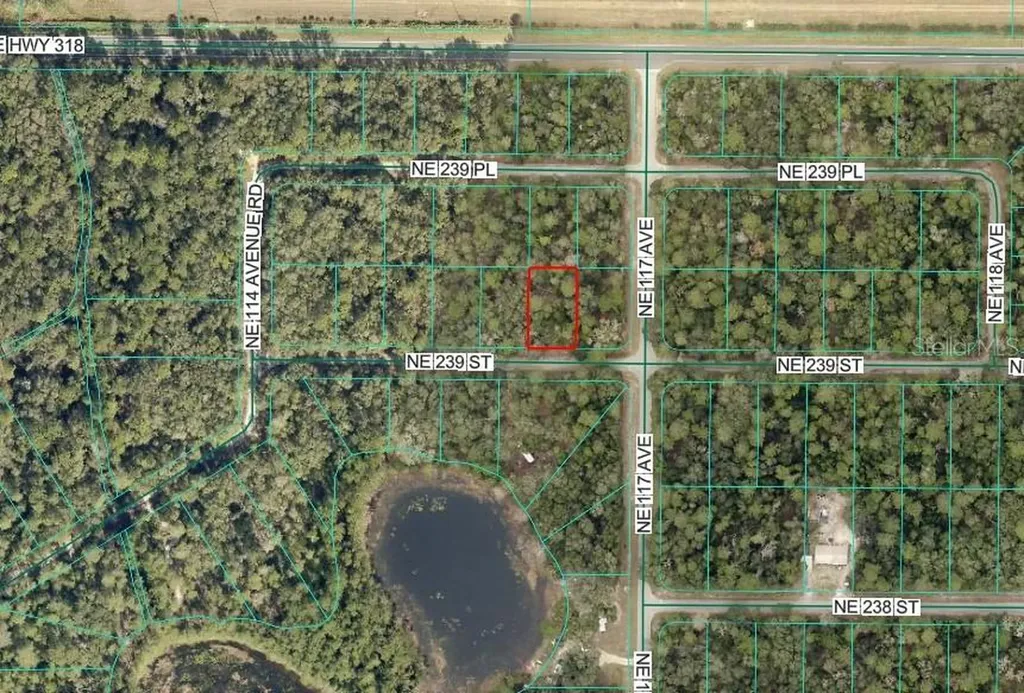 NE 239th Street Fort Mc Coy FL 32134