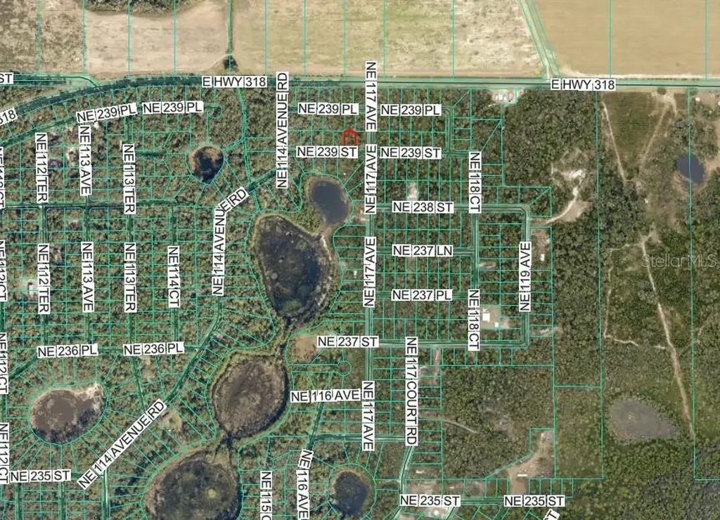 NE 239th Street Fort Mc Coy FL 32134