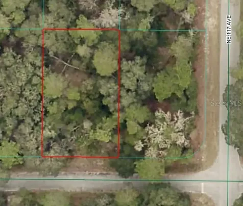 NE 239th Street Fort Mc Coy FL 32134