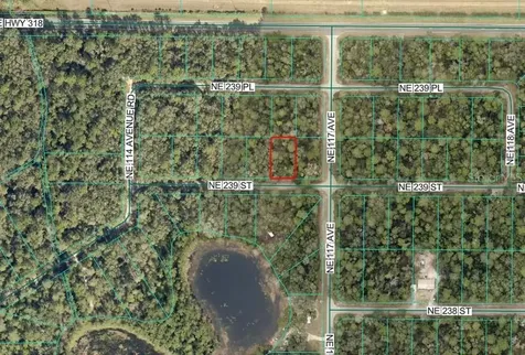 NE 239th Street Fort Mc Coy FL 32134