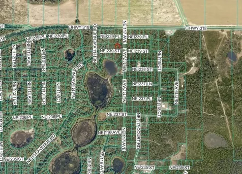 NE 239th Street Fort Mc Coy FL 32134