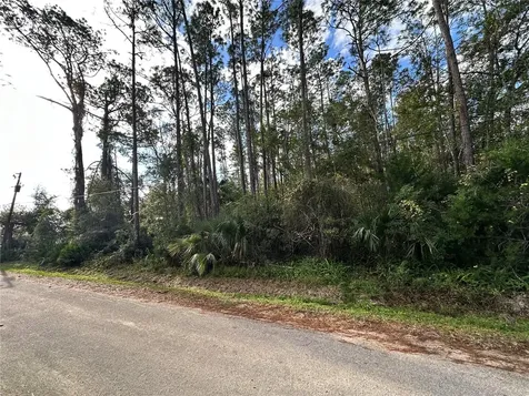 00 N Peach Street Bunnell FL 32110