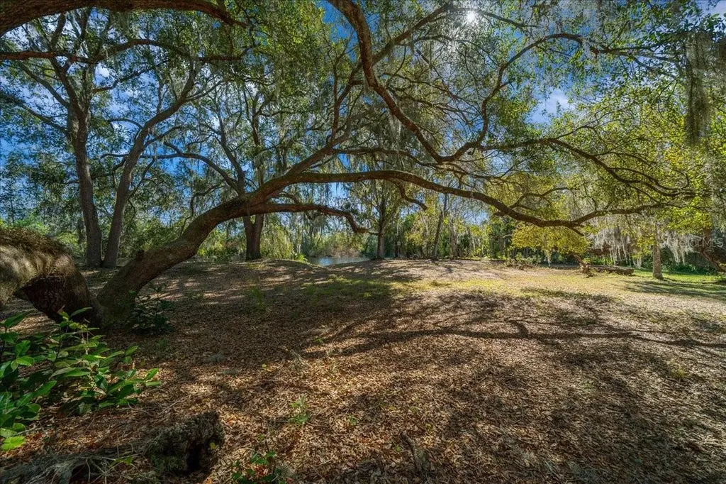 16731 SE 181st Terrace Weirsdale FL 32195
