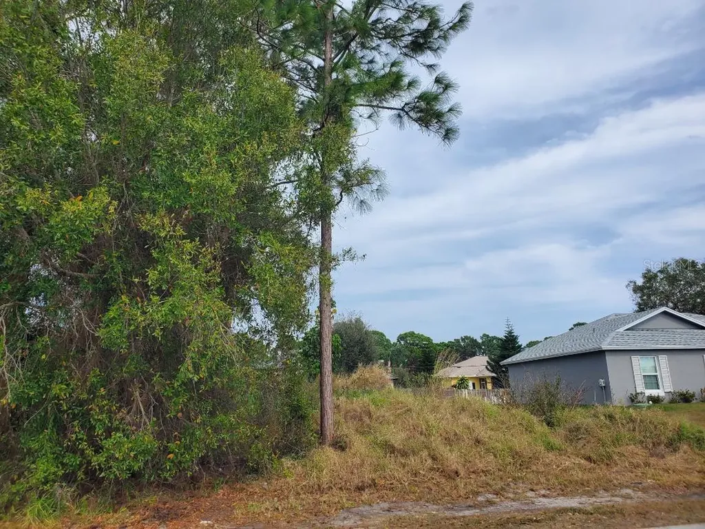 1009 SW Castaneda Lane Port St Lucie FL 34953