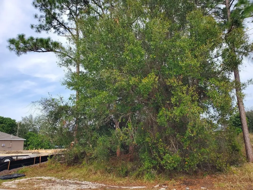 1009 SW Castaneda Lane Port St Lucie FL 34953