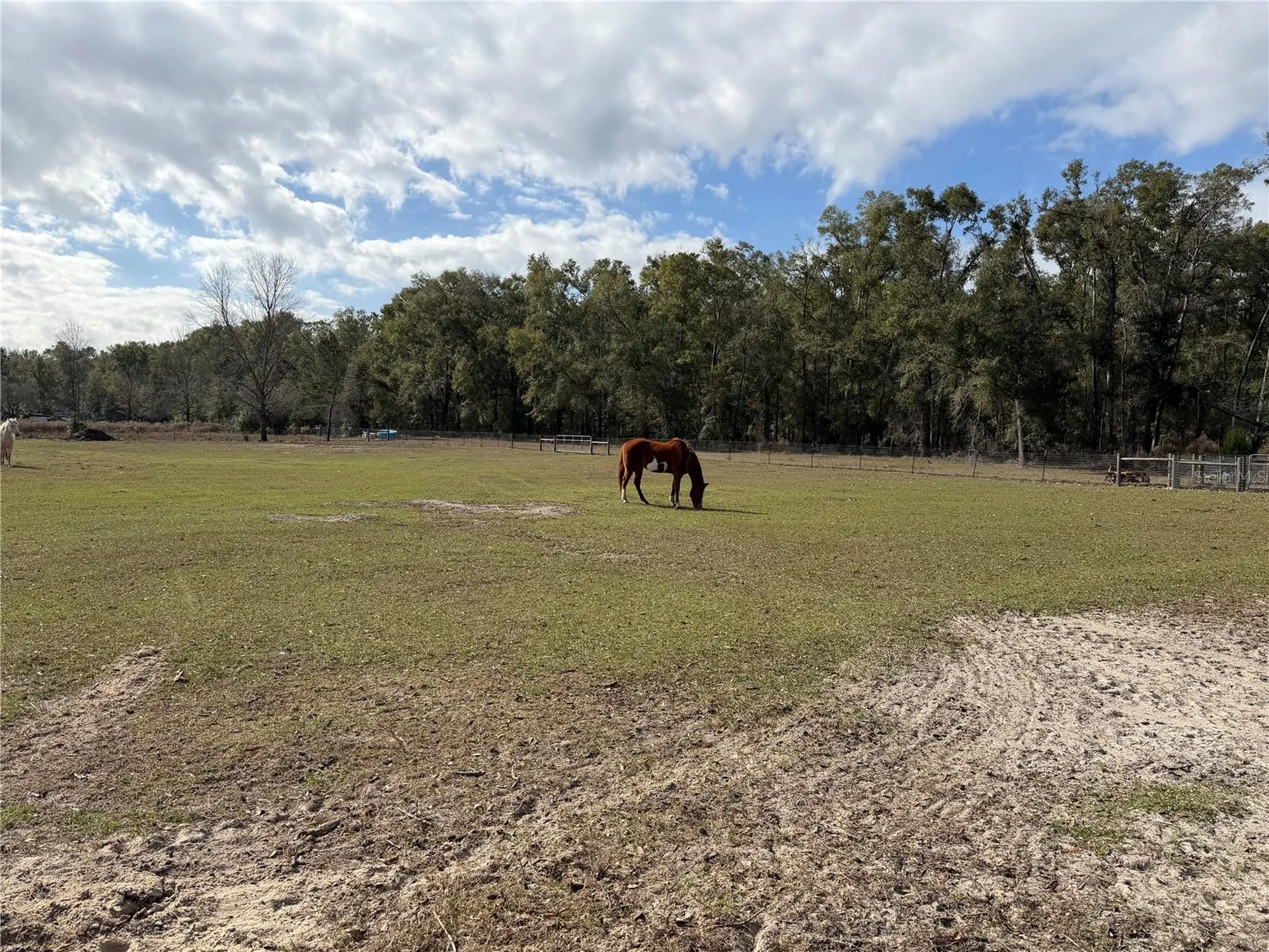 00 SW Cowpoke Court Fort White FL 32038