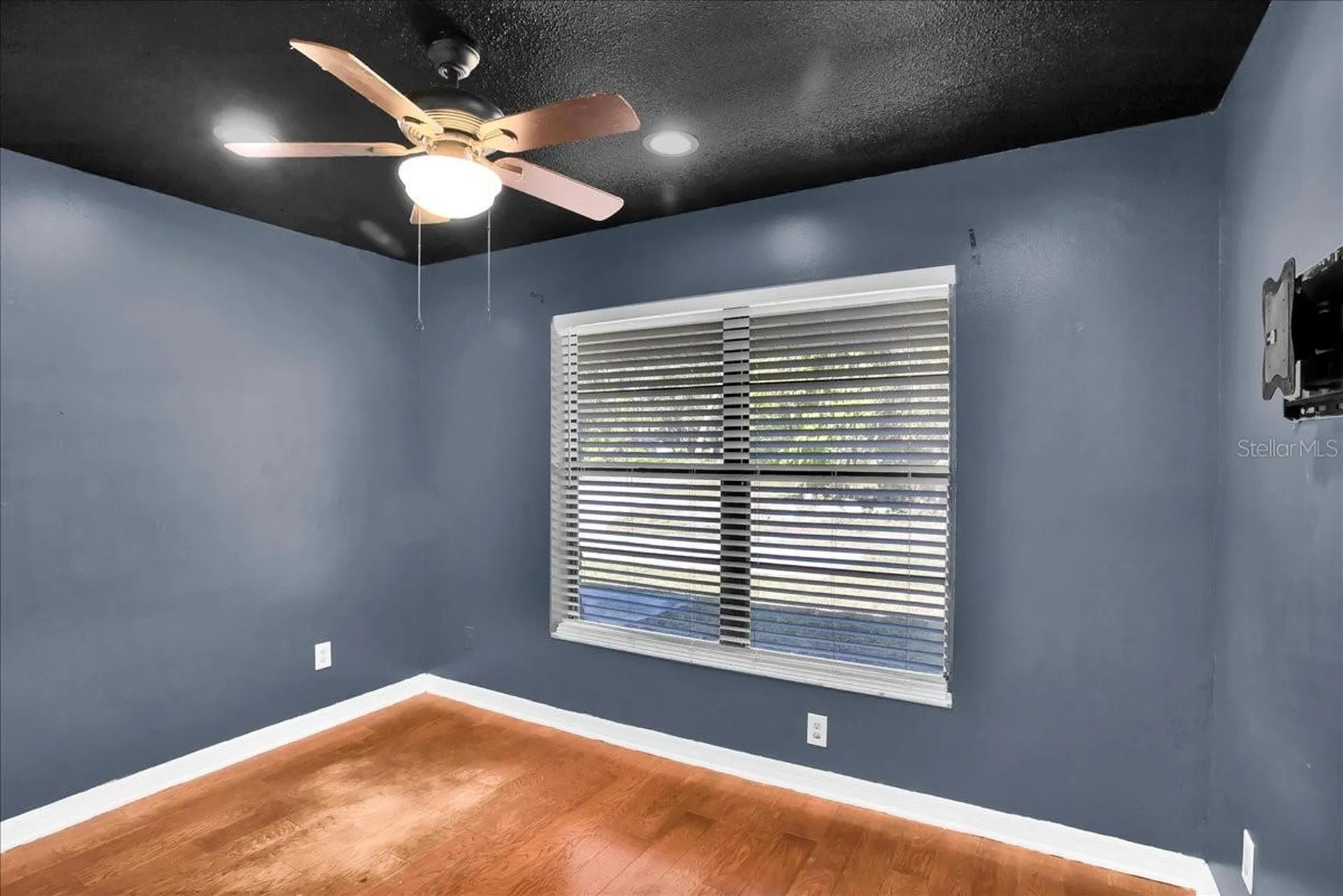 6124 Lynn Road Tampa FL 33625