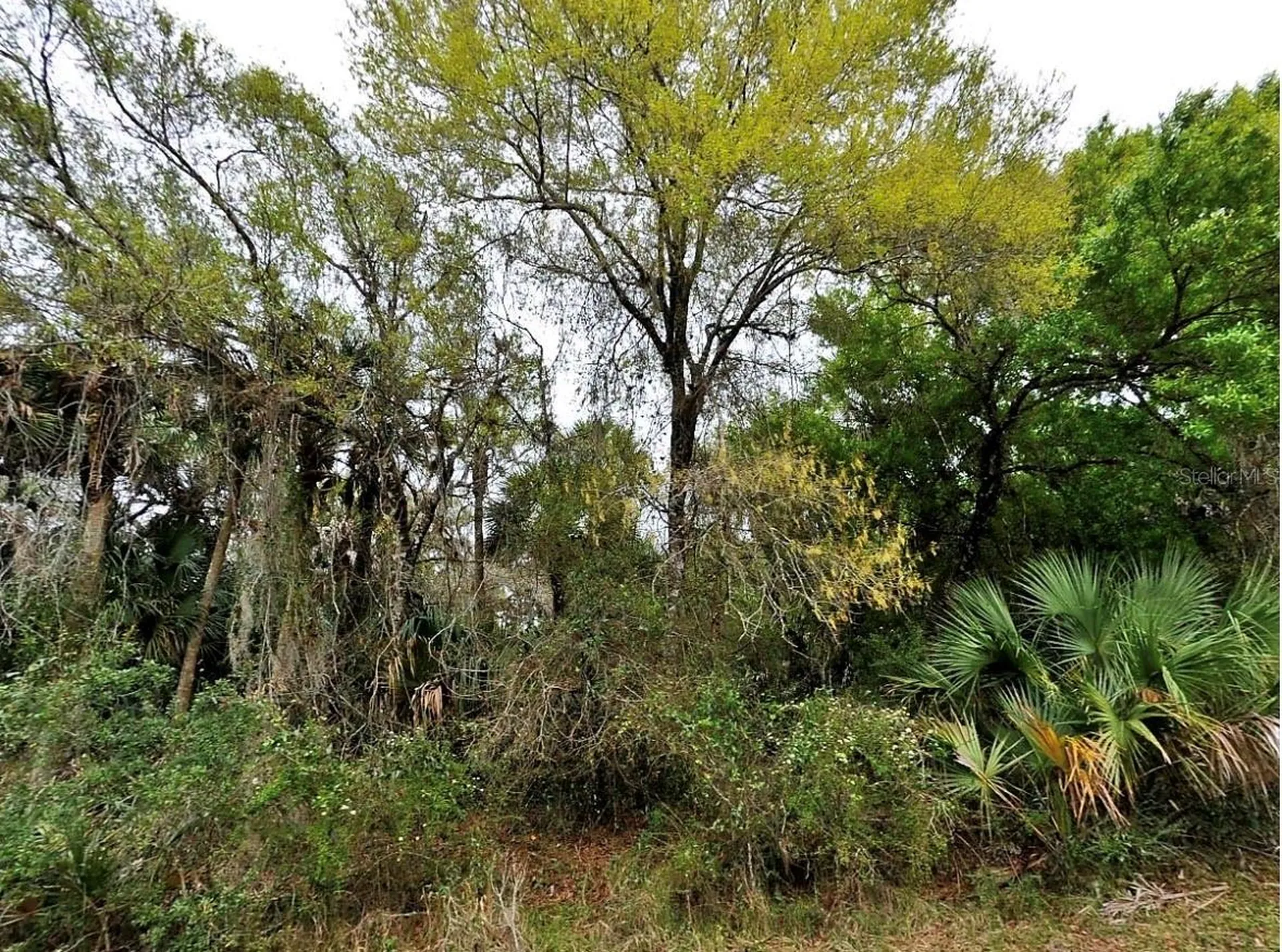 Backert Road North Port FL 34291