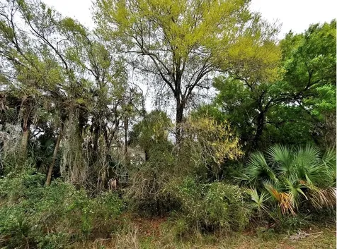Backert Road North Port FL 34291