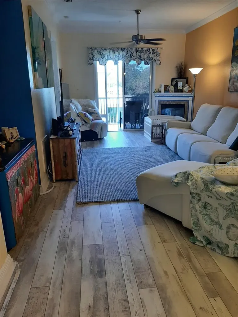 6801 Dali Avenue Land O Lakes FL 34637