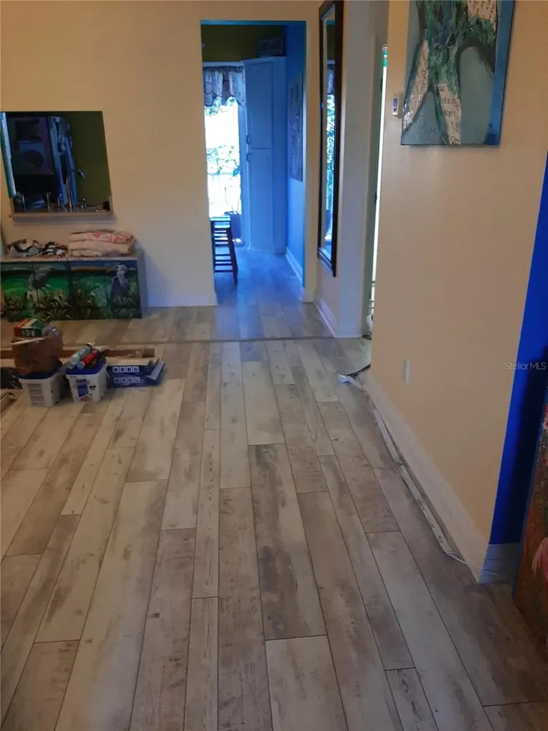 6801 Dali Avenue Land O Lakes FL 34637