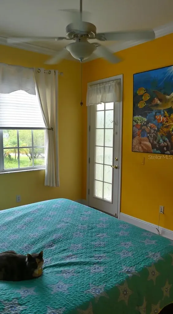 6801 Dali Avenue Land O Lakes FL 34637