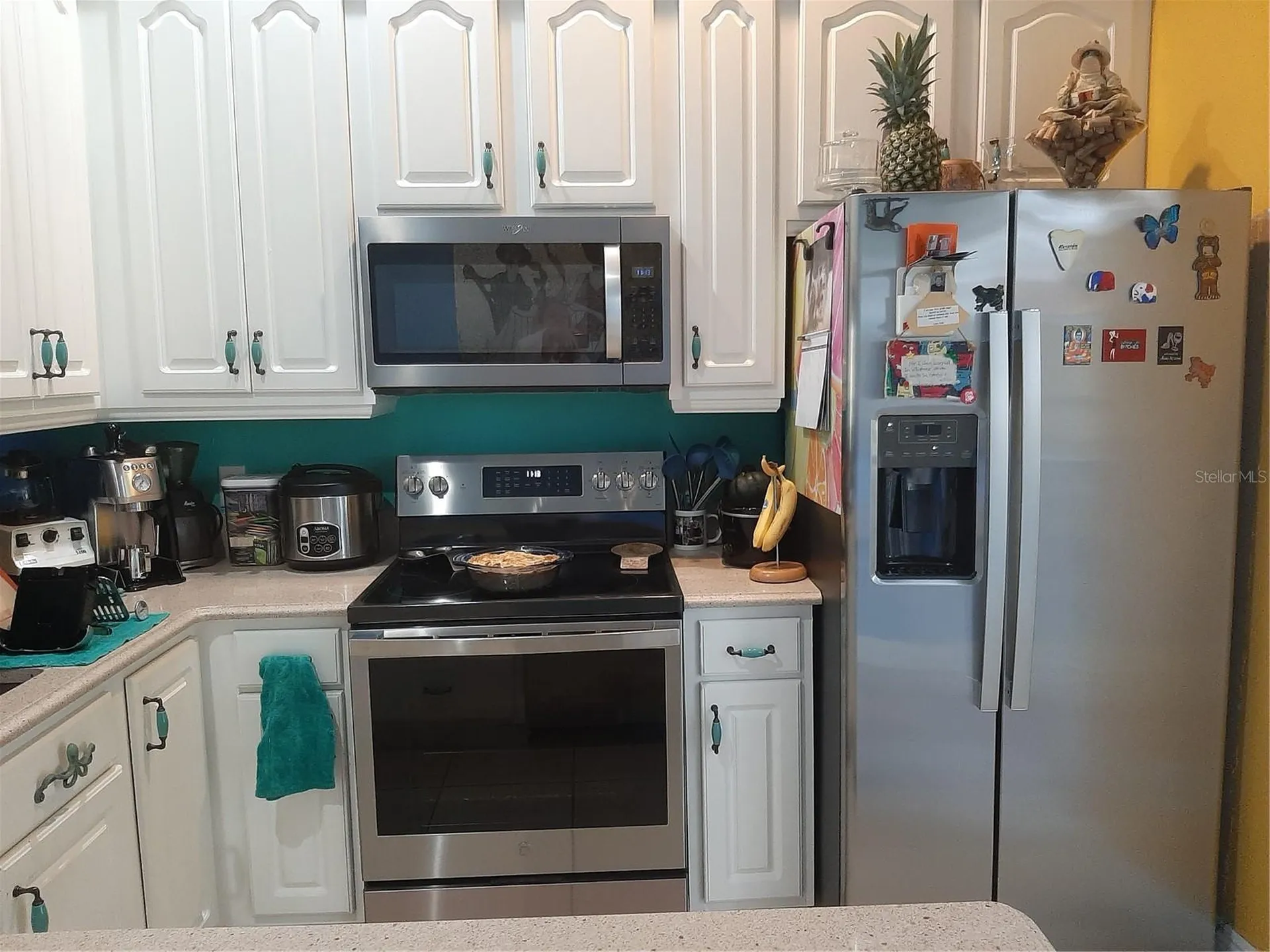 6801 Dali Avenue Land O Lakes FL 34637