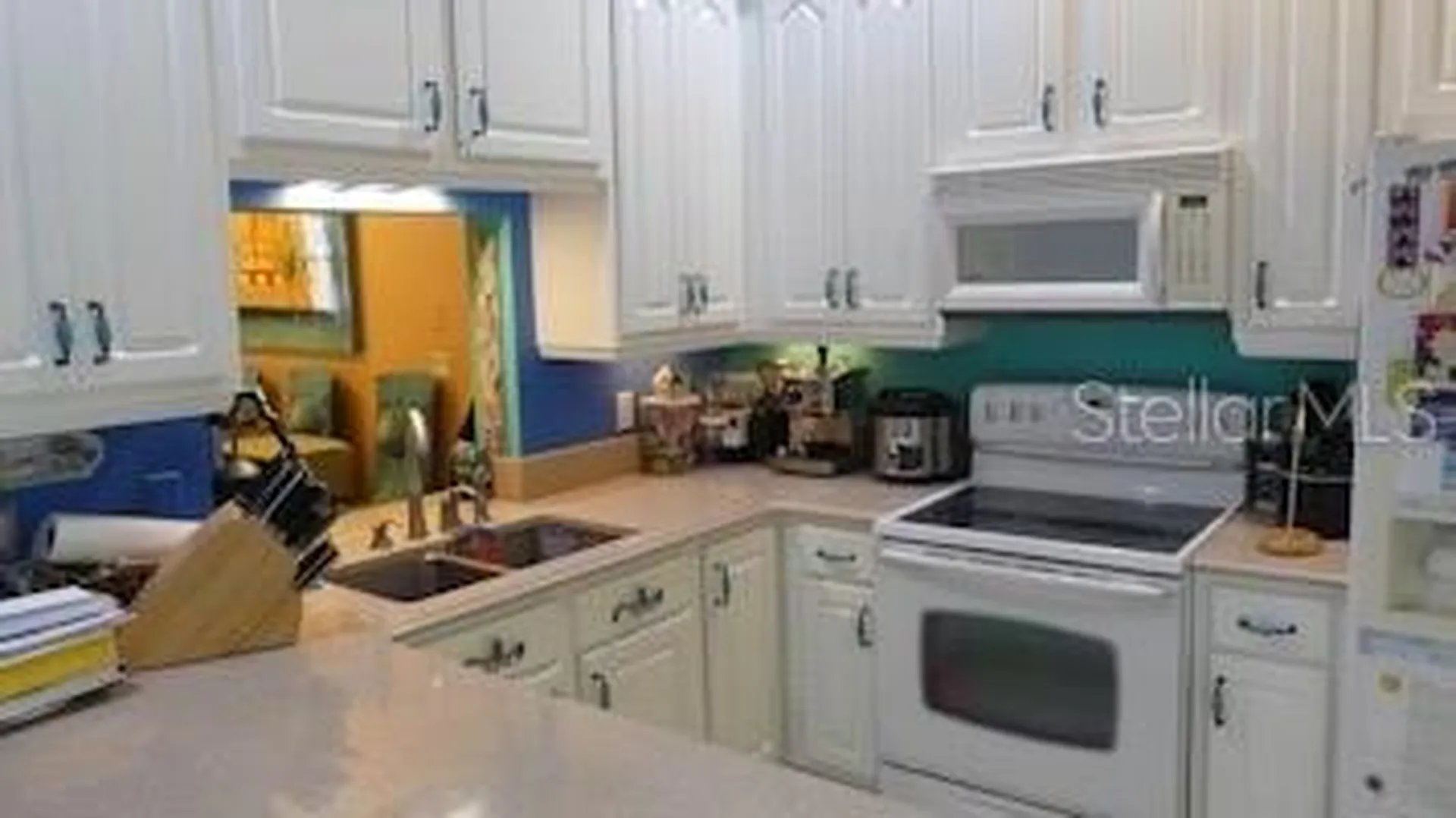 6801 Dali Avenue Land O Lakes FL 34637