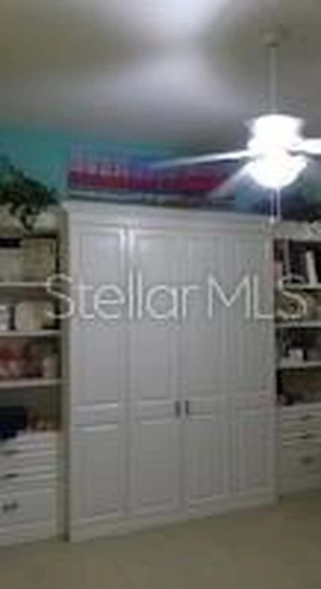 6801 Dali Avenue Land O Lakes FL 34637