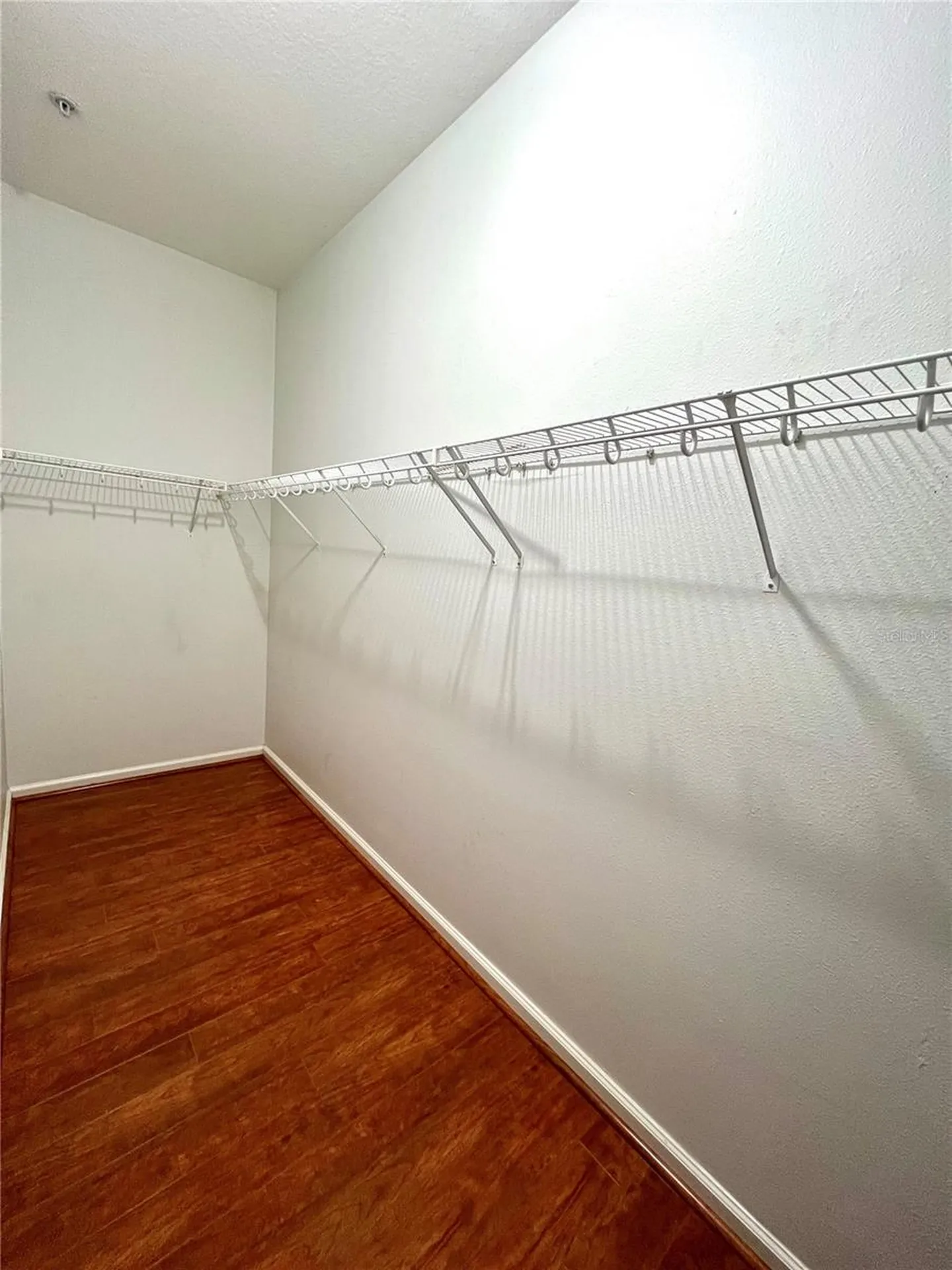 809 Harbor Oak Lane Clearwater FL 33756