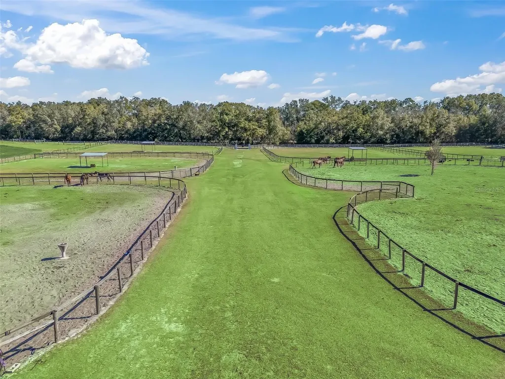 19331 E Levy Street Williston FL 32696