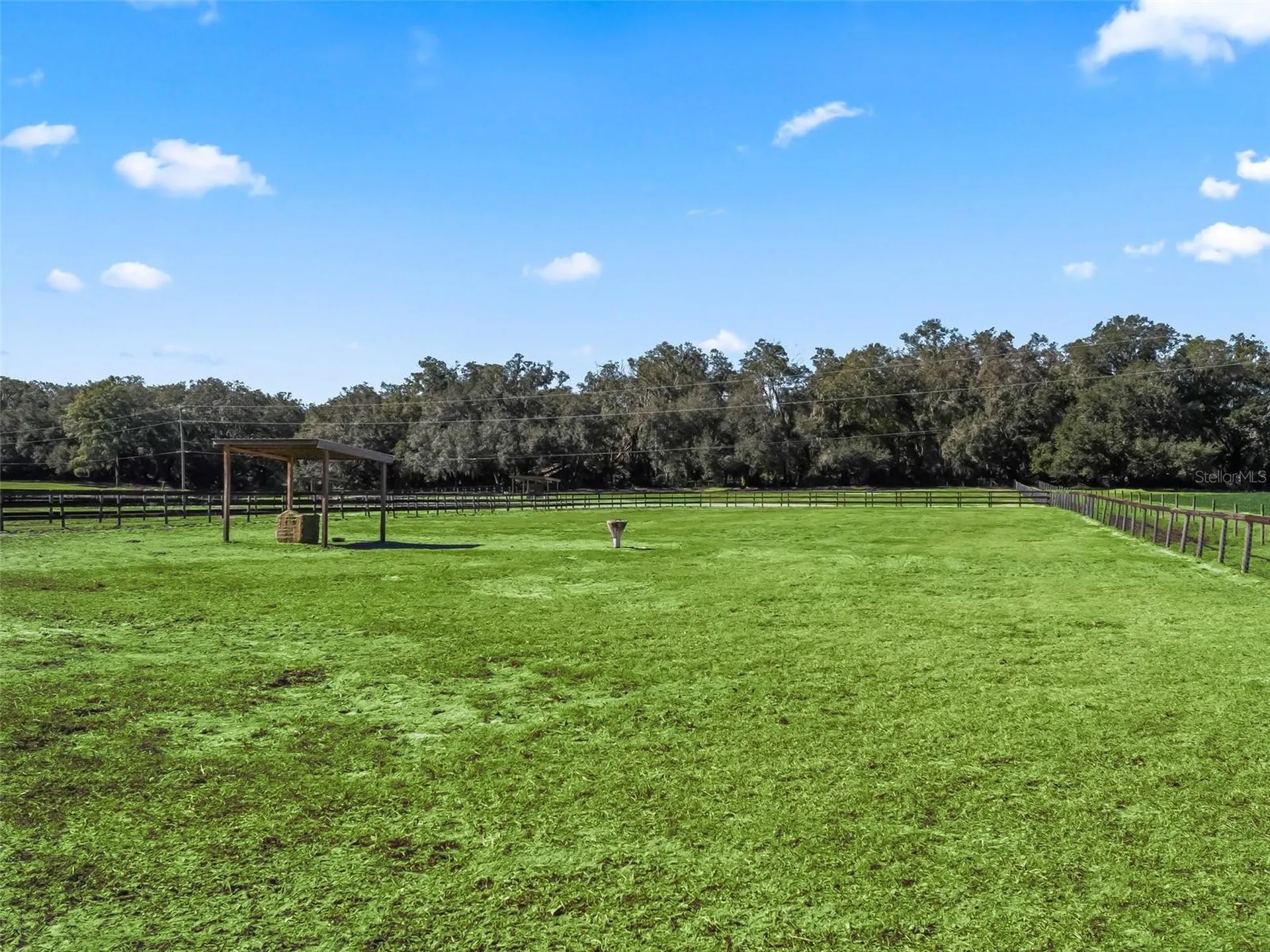 19331 E Levy Street Williston FL 32696