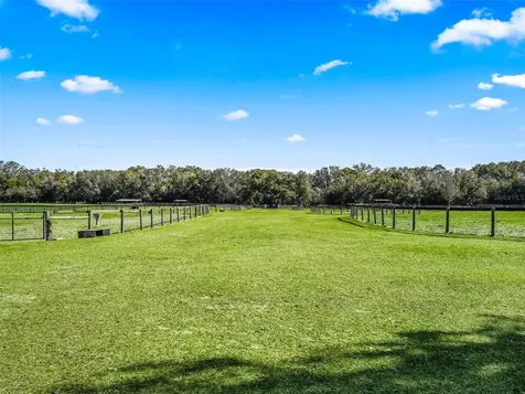 19331 E Levy Street Williston FL 32696