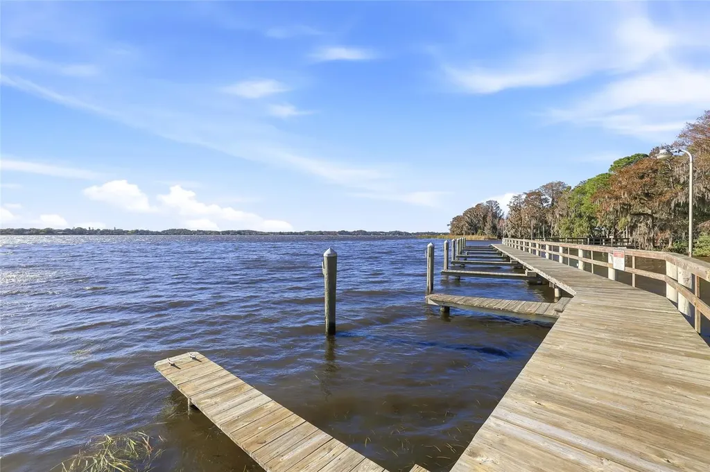 4092 Carlyle Lakes Boulevard Palm Harbor FL 34685