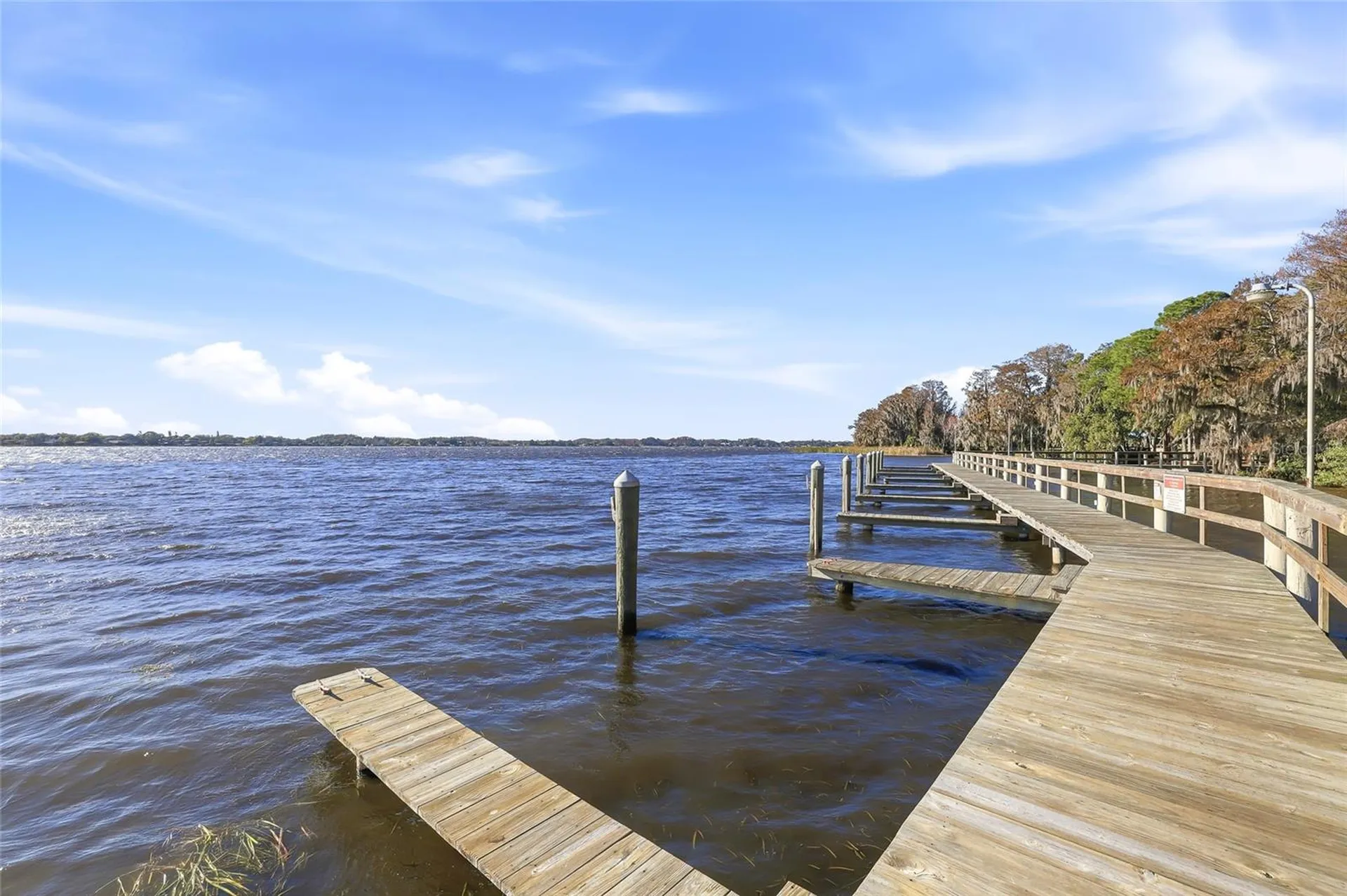 4092 Carlyle Lakes Boulevard Palm Harbor FL 34685