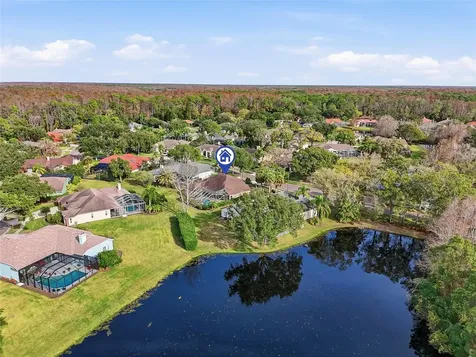 4092 Carlyle Lakes Boulevard Palm Harbor FL 34685
