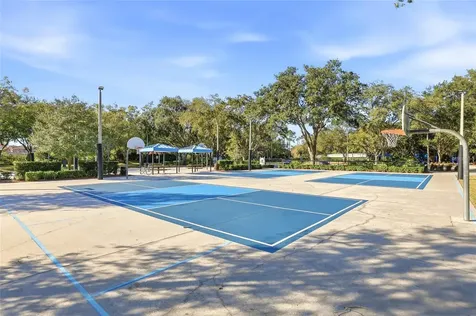 4092 Carlyle Lakes Boulevard Palm Harbor FL 34685