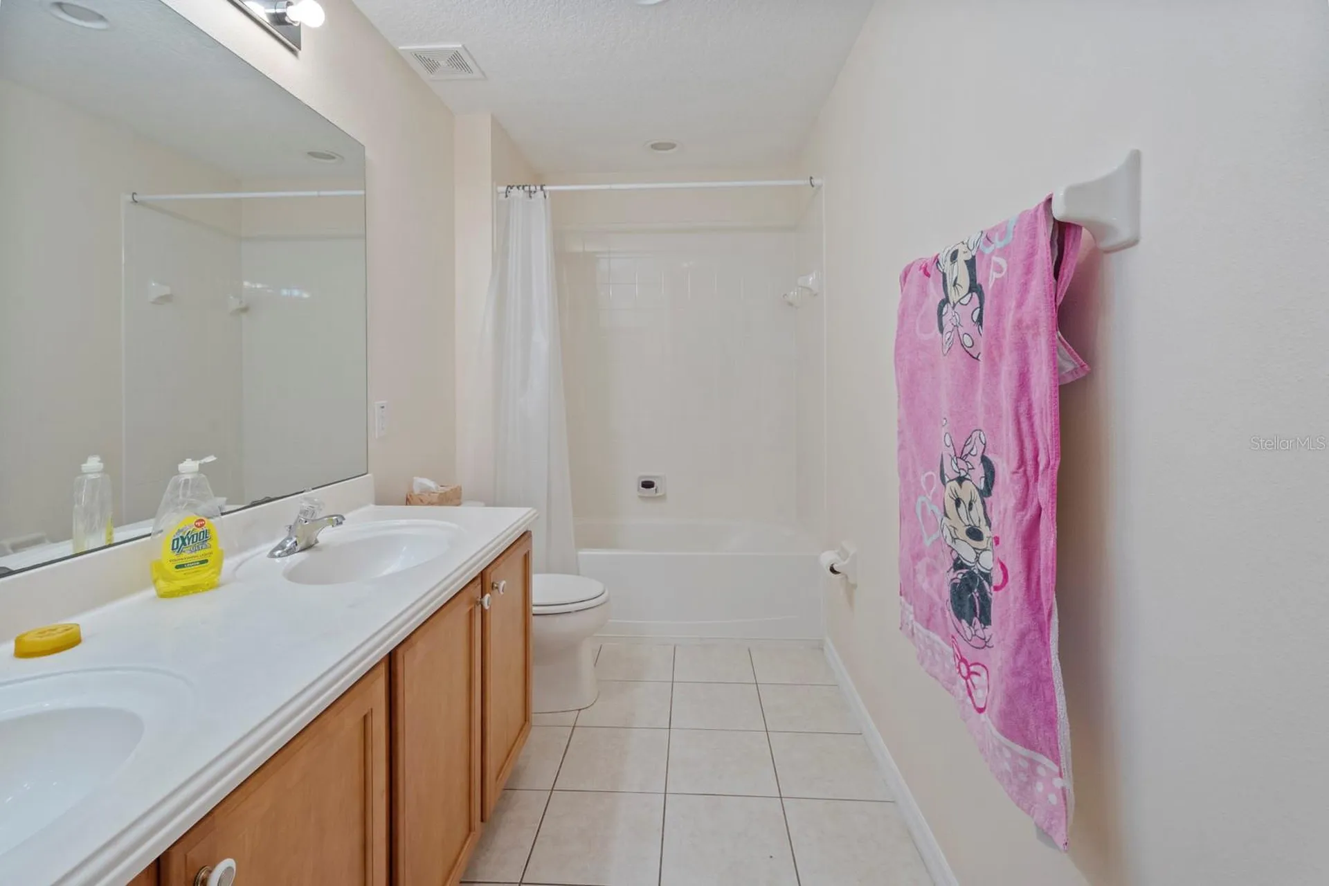 5042 Rishley Run Way Mount Dora FL 32757