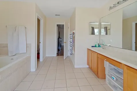 5042 Rishley Run Way Mount Dora FL 32757
