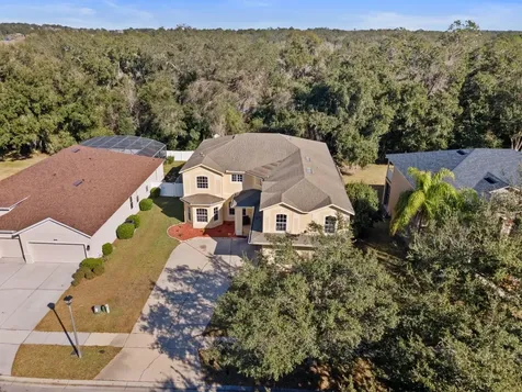 5042 Rishley Run Way Mount Dora FL 32757