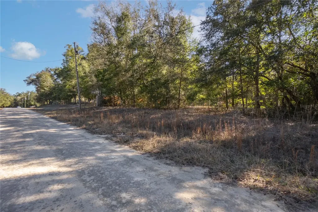 SW 109th Place Dunnellon FL 34432