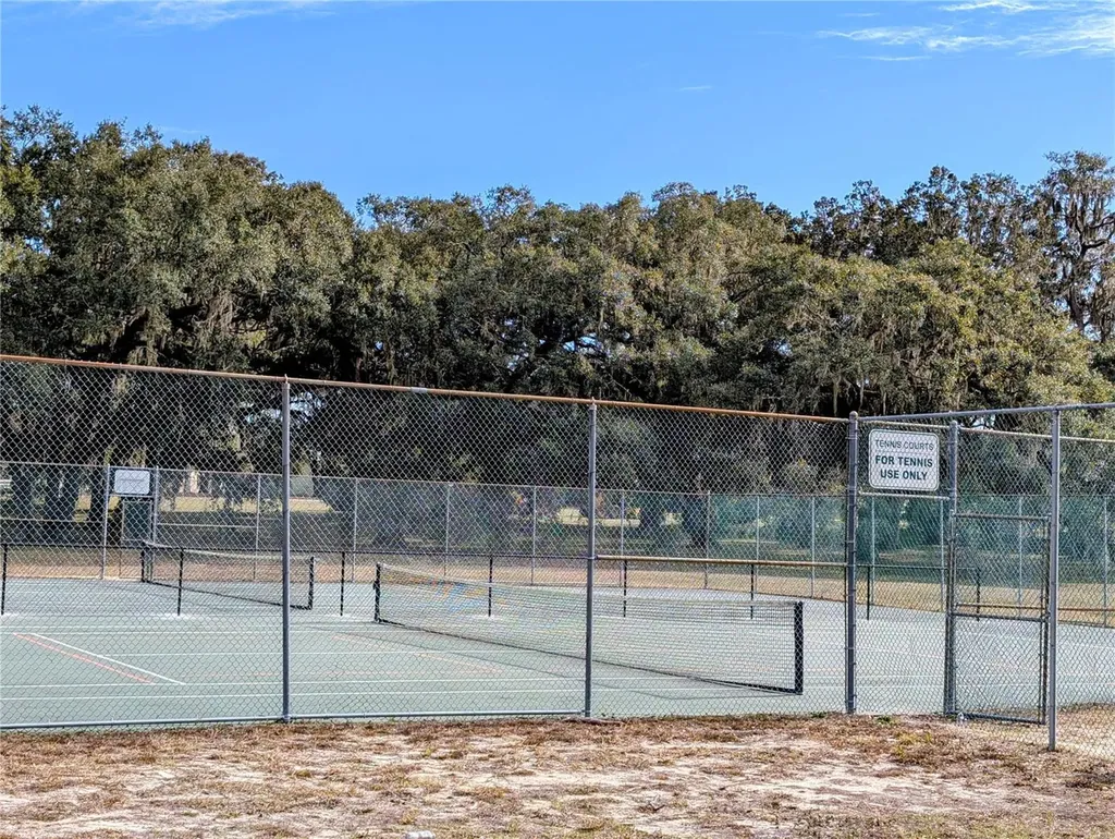 SW 109th Place Dunnellon FL 34432