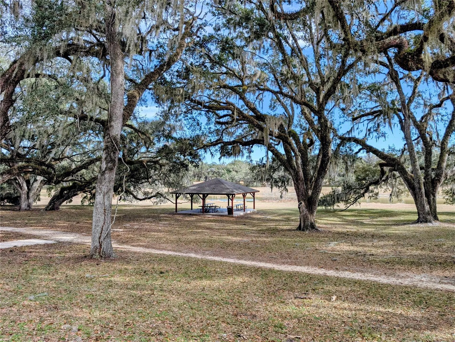 SW 109th Place Dunnellon FL 34432