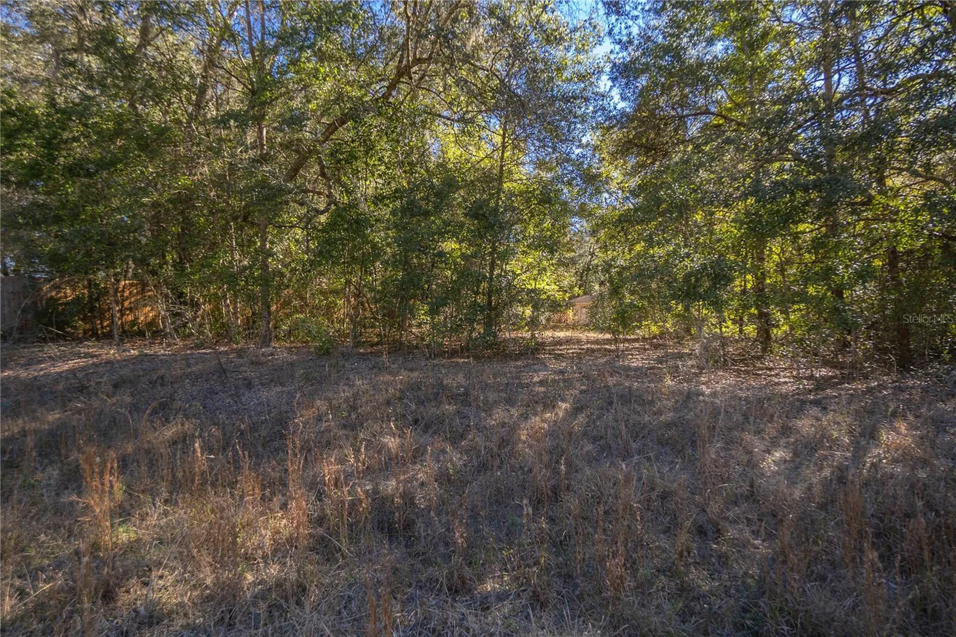 SW 109th Place Dunnellon FL 34432