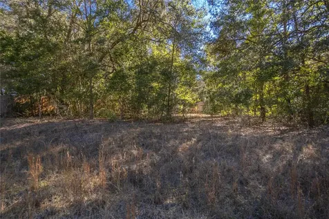 SW 109th Place Dunnellon FL 34432