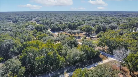 SW 109th Place Dunnellon FL 34432