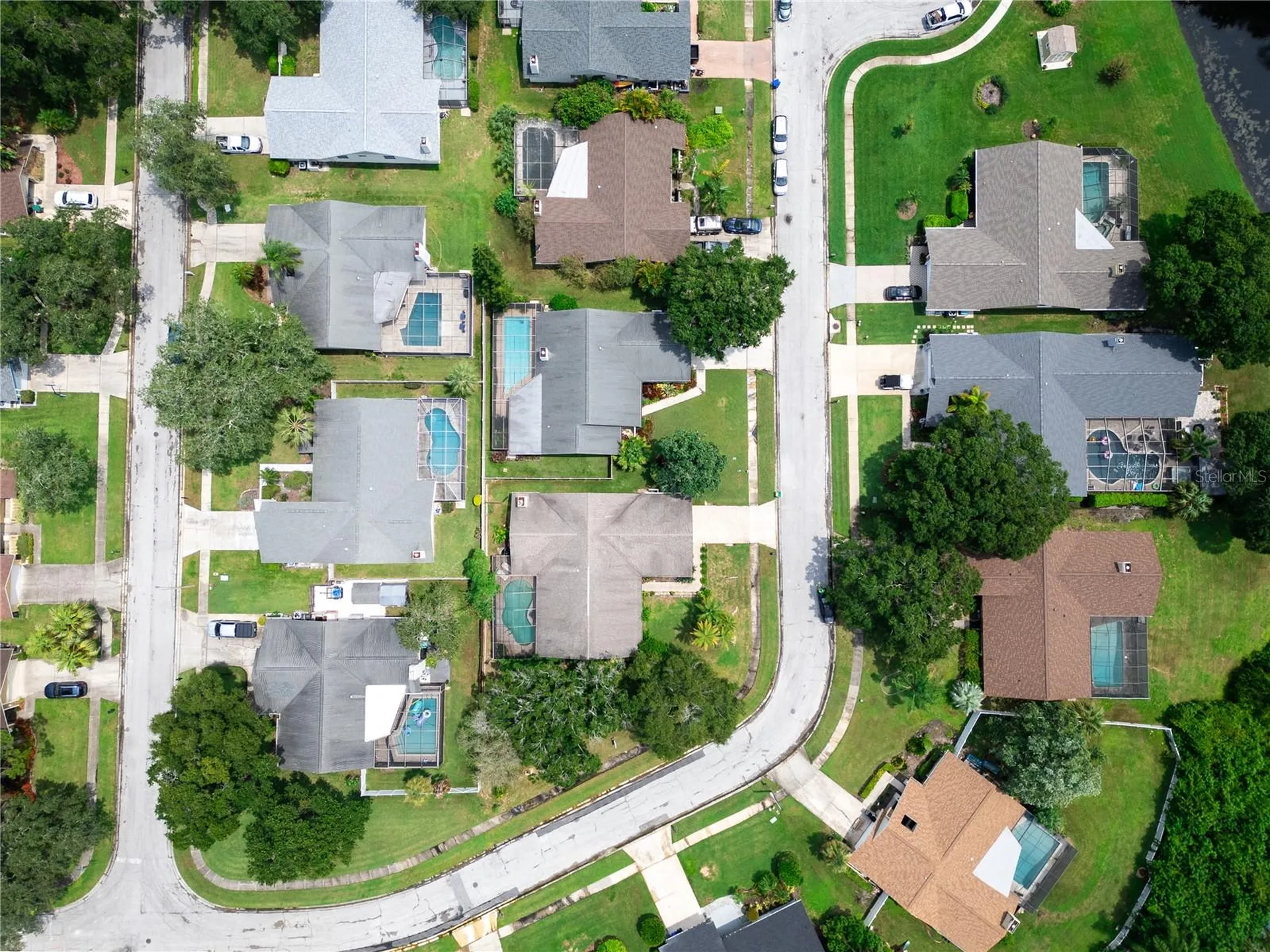 2917 Cypress Ridge Palm Harbor FL 34684