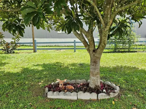 1340 Sawdust Trail Kissimmee FL 34744