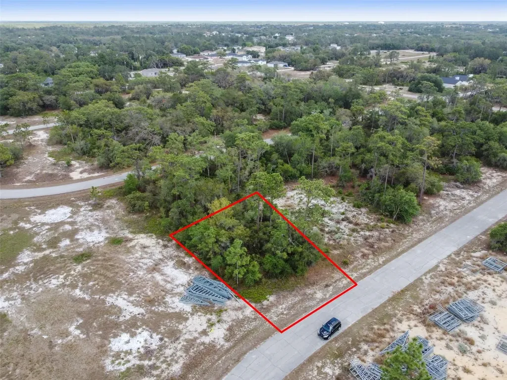 1315 Homosassa Court Kissimmee FL 34759