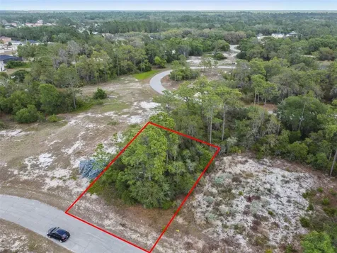 1315 Homosassa Court Kissimmee FL 34759